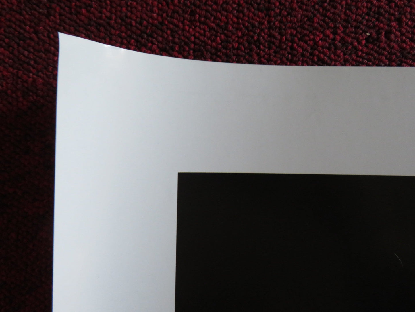 DAD'S ARMY - B UK QUAD (30"x 40") ROLLED POSTER BILL NIGHY TOBY JONES 2016 Rendezvous Cinema Movie posters