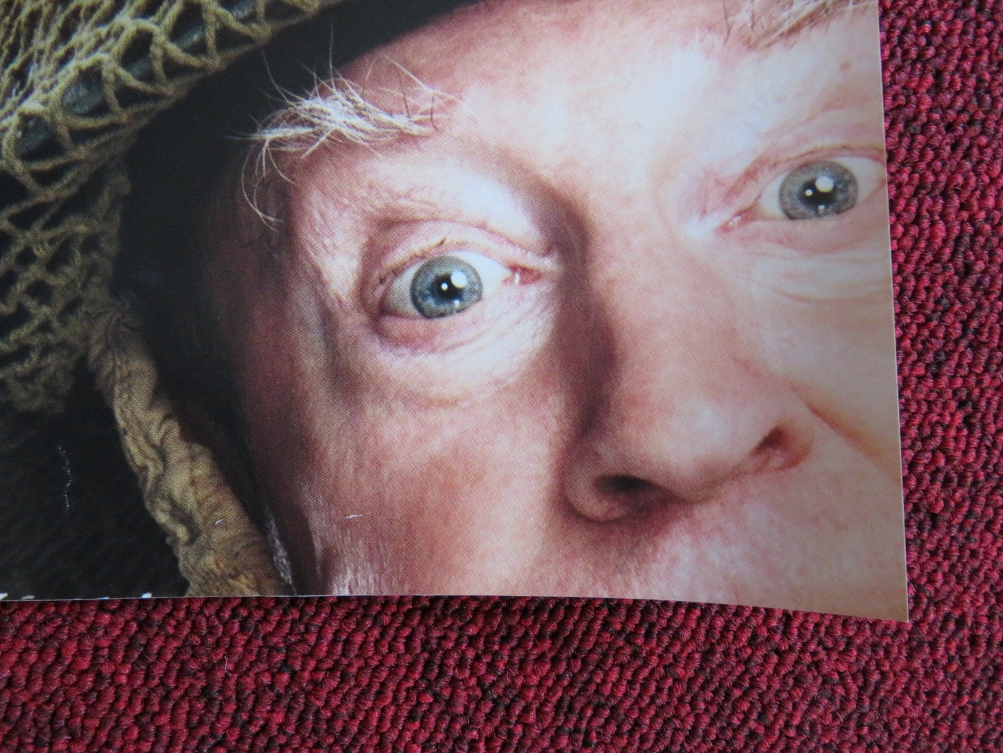 DAD'S ARMY - B UK QUAD (30"x 40") ROLLED POSTER BILL NIGHY TOBY JONES 2016 Rendezvous Cinema Movie posters