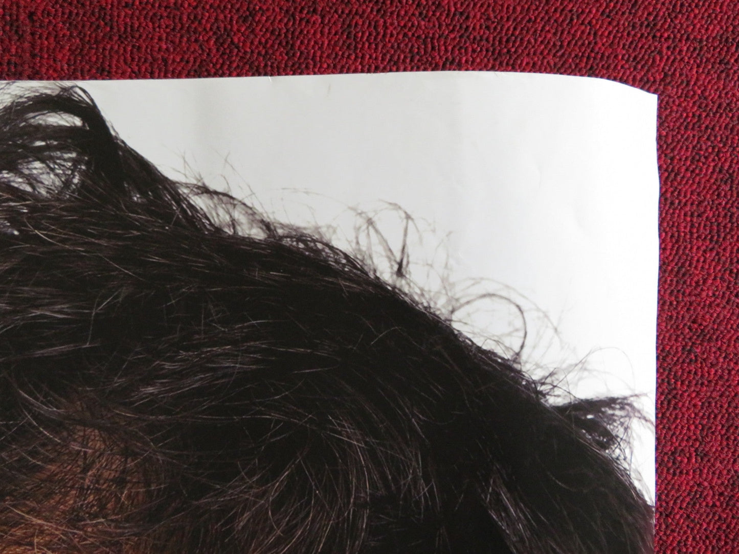 DAN IN REAL LIFE UK QUAD (30"x 40") ROLLED POSTER STEVE CARELL J. BINOCHE 2007 Rendezvous Cinema Movie posters