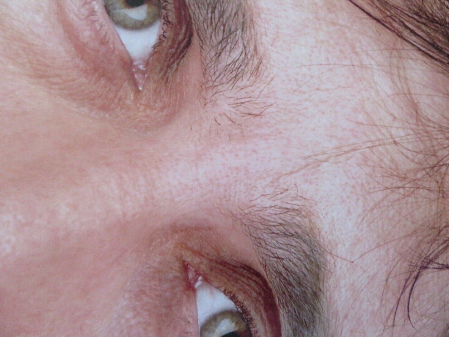 DAN IN REAL LIFE US ONE SHEET ROLLED POSTER STEVE CARELL 2007 Movie posters