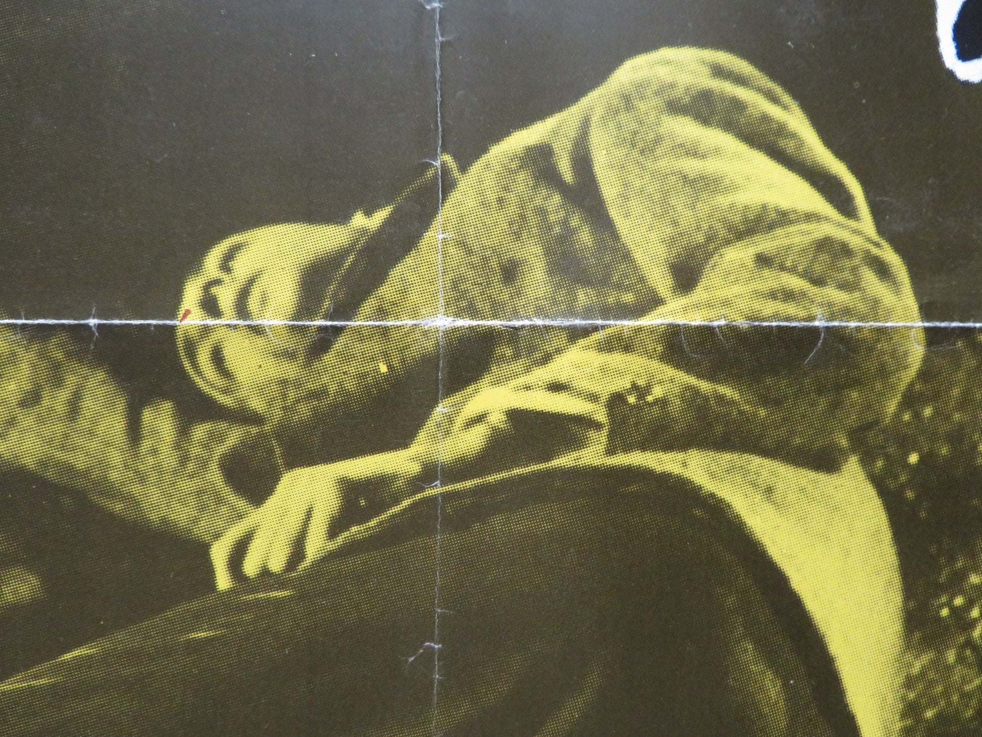 DANCE WITH A STRANGER ITALIAN FOGLIO POSTER MIRANDA RICHARDSON R EVERETT 1985 Rendezvous Cinema Movie posters