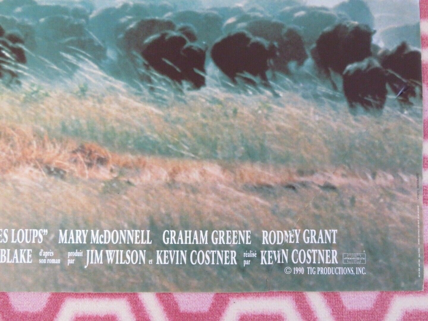 DANCES WITH WOLVES FRENCH MOYENNE (23.5"x 31") POSTER KEVIN COSSTNER 1991 Movie posters