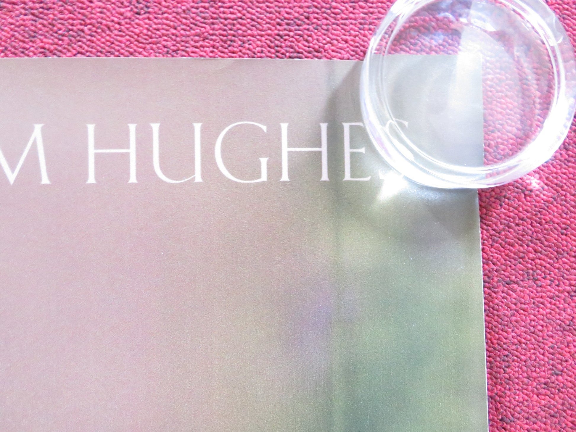 DARE TO BE WILD UK QUAD (30"x 40") ROLLED POSTER EMMA GREENWELL TOM HUGHES 2015 Rendezvous Cinema Movie posters