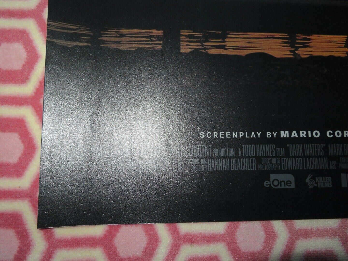 DARK WATERS QUAD (30"x 40") ROLLED POSTER MARK RUFFALO ANNE HATHAWAY TIM ROBINS Movie posters