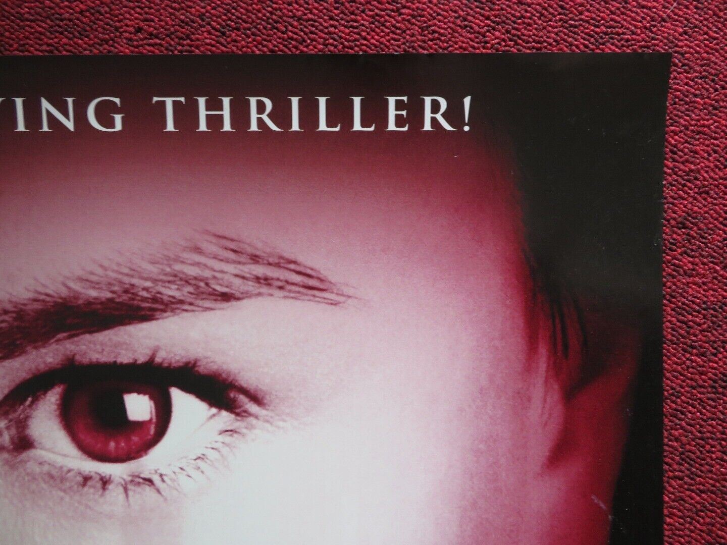 DARKNESS DVD US ONE SHEET ROLLED POSTER ANNA PAQUIN LENA OLIN 2002 Movie posters