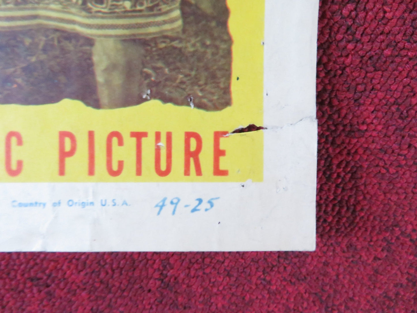 DAUGHTER OF THE JUNGLE US INSERT (14"x 36") POSTER LOIS HALL JAMES CARDWELL 1949 Rendezvous Cinema Movie posters