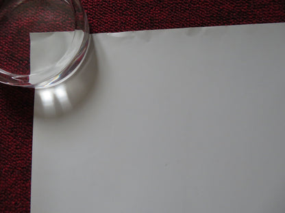 DAVID BRENT: LIFE ON THE ROAD UK QUAD (30"x 40") ROLLED POSTER R. GERVAIS 2016 Rendezvous Cinema Movie posters