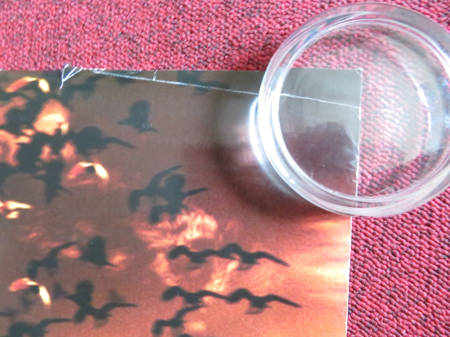 DAY WATCH US ONE SHEET ROLLED POSTER KONSTANTIN KHABENSKIY MARIYA POROSHINA 2006 Rendezvous Cinema Movie posters