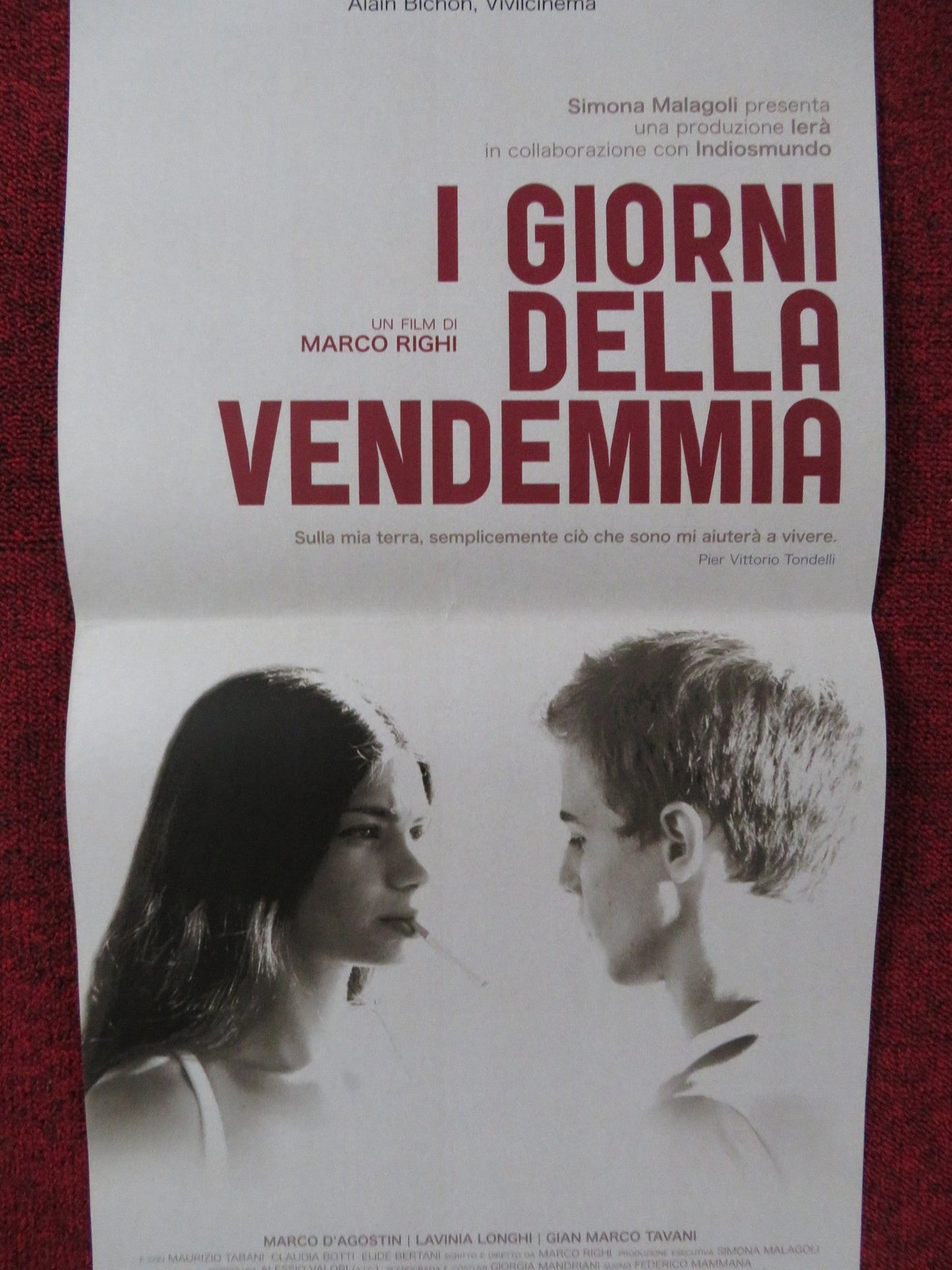 DAYS OF HARVEST ITALIAN LOCANDINA POSTER LAVINIA LONGHI MARCO D'AGOSTIN 2010 Rendezvous Cinema Movie posters
