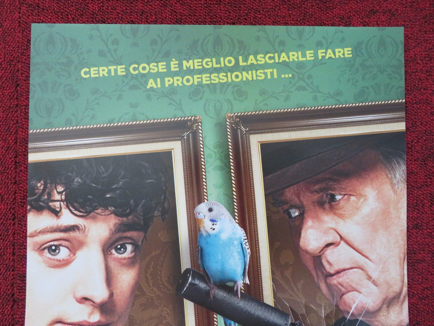 DEAD IN A WEEK OR YOUR MONEY BACK ITALIAN LOCANDINA POSTER ANEURIN BARNARD 2018 Rendezvous Cinema Movie posters