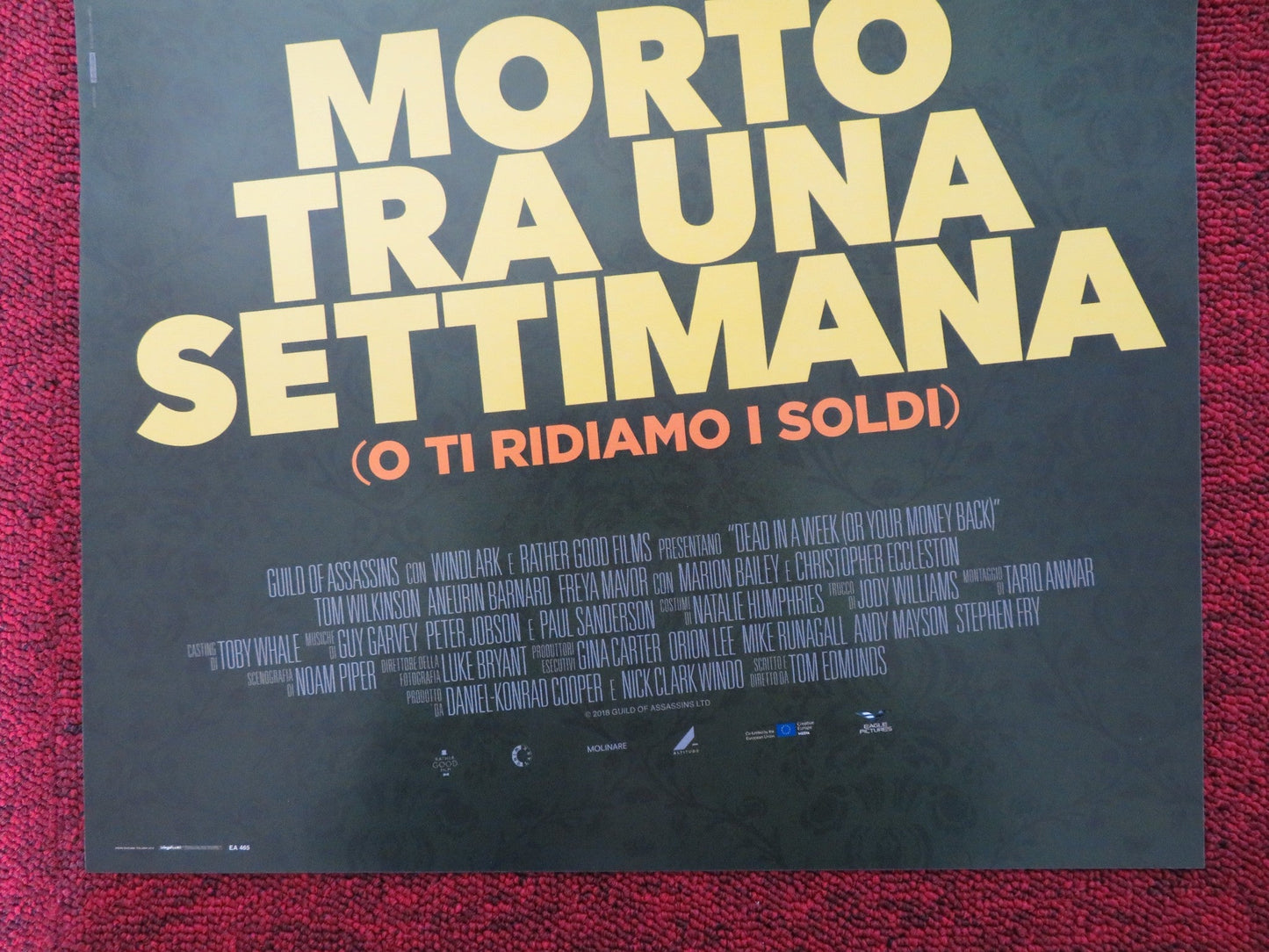 DEAD IN A WEEK OR YOUR MONEY BACK ITALIAN LOCANDINA POSTER ANEURIN BARNARD 2018 Rendezvous Cinema Movie posters