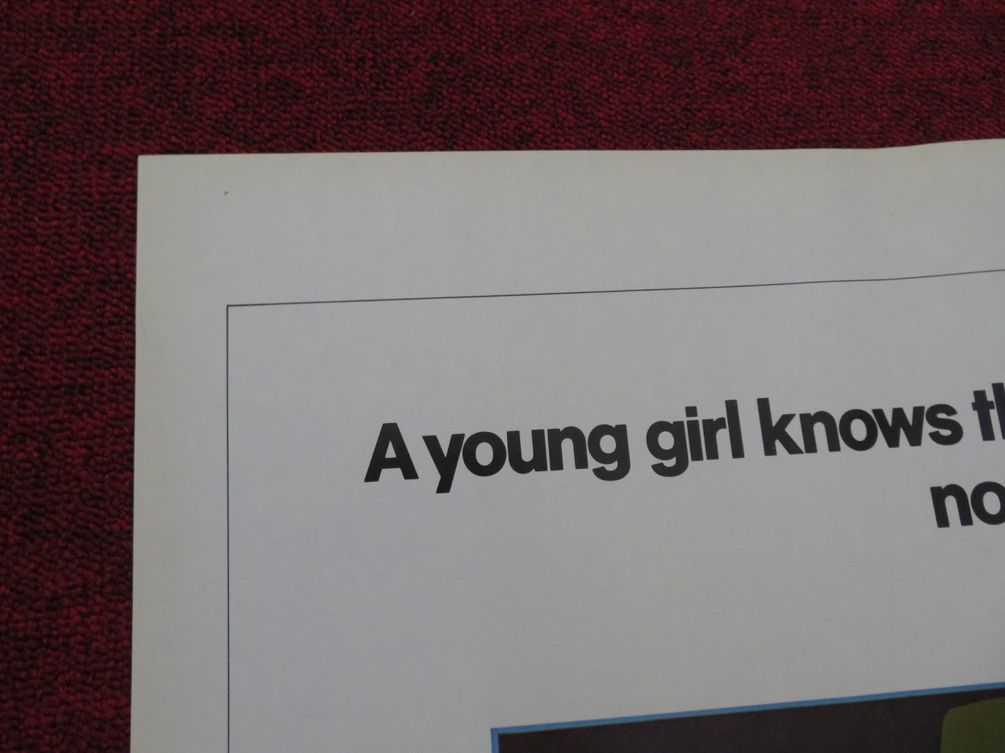 DEADLY HERO FOLDED US ONE SHEET POSTER DON MURRAY DIAHN WILLIAMS 1975 Rendezvous Cinema Movie posters