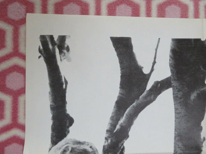 DEAR JOHN US ONE SHEET POSTER JARL KULLE CHRISTINA SCHOLLIN 1964 Movie posters