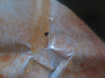 DEATH AND THE MAIDEN QUAD (30" x 40") POSTER FOLDED SIGOURNEY WEAVER 1994 Rendezvous Cinema Movie posters