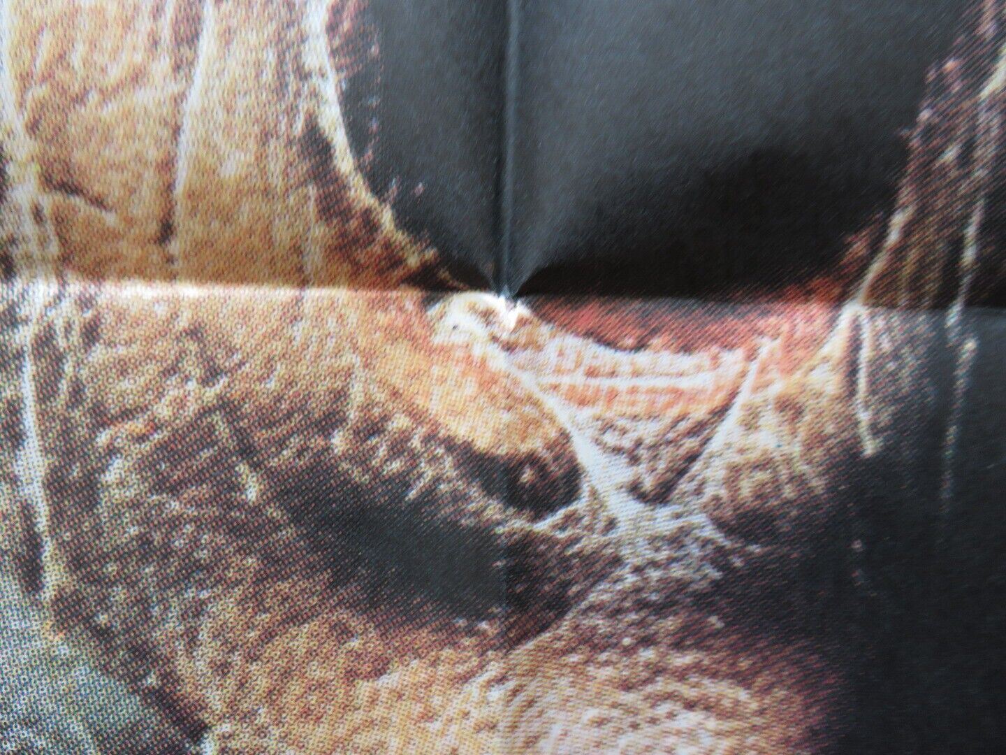 DEATH ON THE NILE FOLDED TURKISH ONE SHEET POSTER PETER USTINOV MIA FARROW 1978 - Rendezvous Cinema