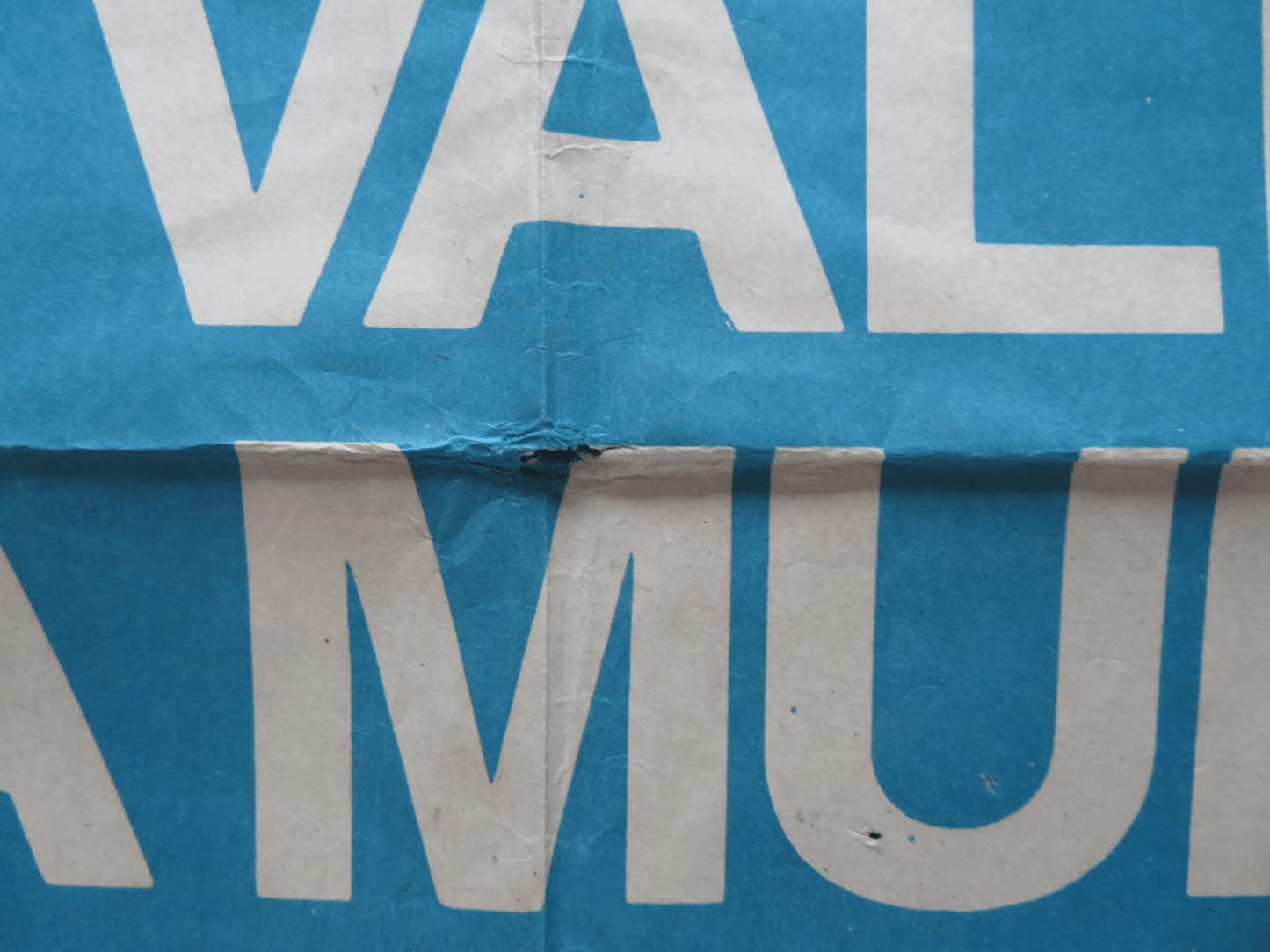 DEATH VALLEY FOLDED ARGENTINA ONE SHEET POSTER PAUL LE MAT CATHERINE HICKS 1982 Rendezvous Cinema Movie posters