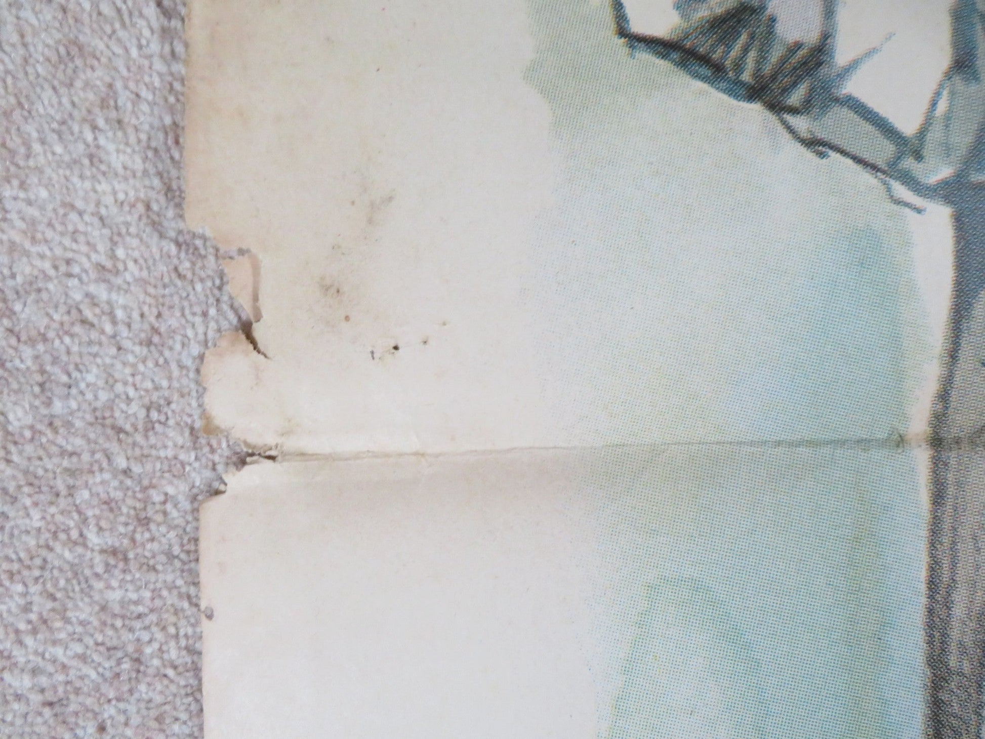 DECAMEROTICUS ITALIAN 2 FOGLIO POSTER ALDO BUFI LANDI PUPO DE LUCA 1972 Rendezvous Cinema Movie posters