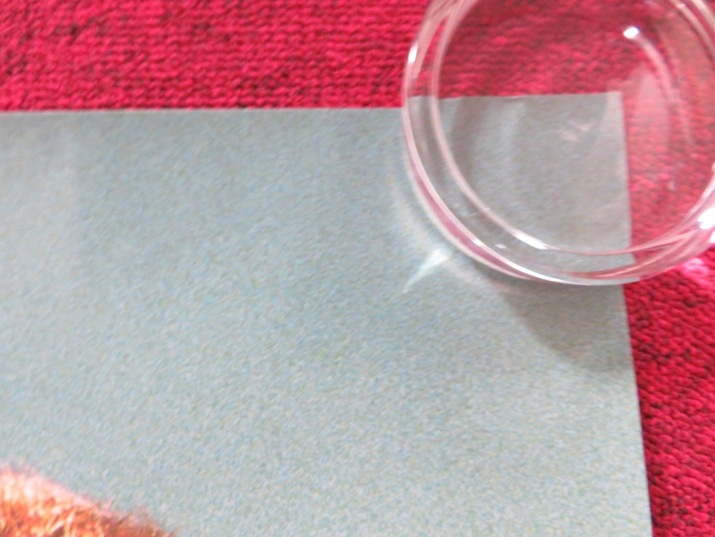 DECEMBER BOYS UK QUAD ROLLED POSTER DANIEL RADCLIFFE LEE CORMIE 2007 Rendezvous Cinema Movie posters