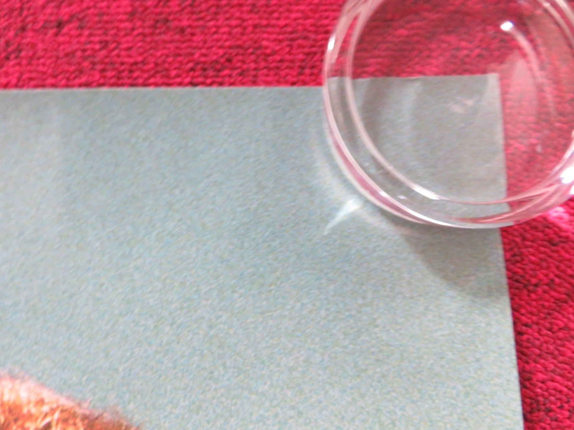 DECEMBER BOYS UK QUAD ROLLED POSTER DANIEL RADCLIFFE LEE CORMIE 2007 Rendezvous Cinema Movie posters