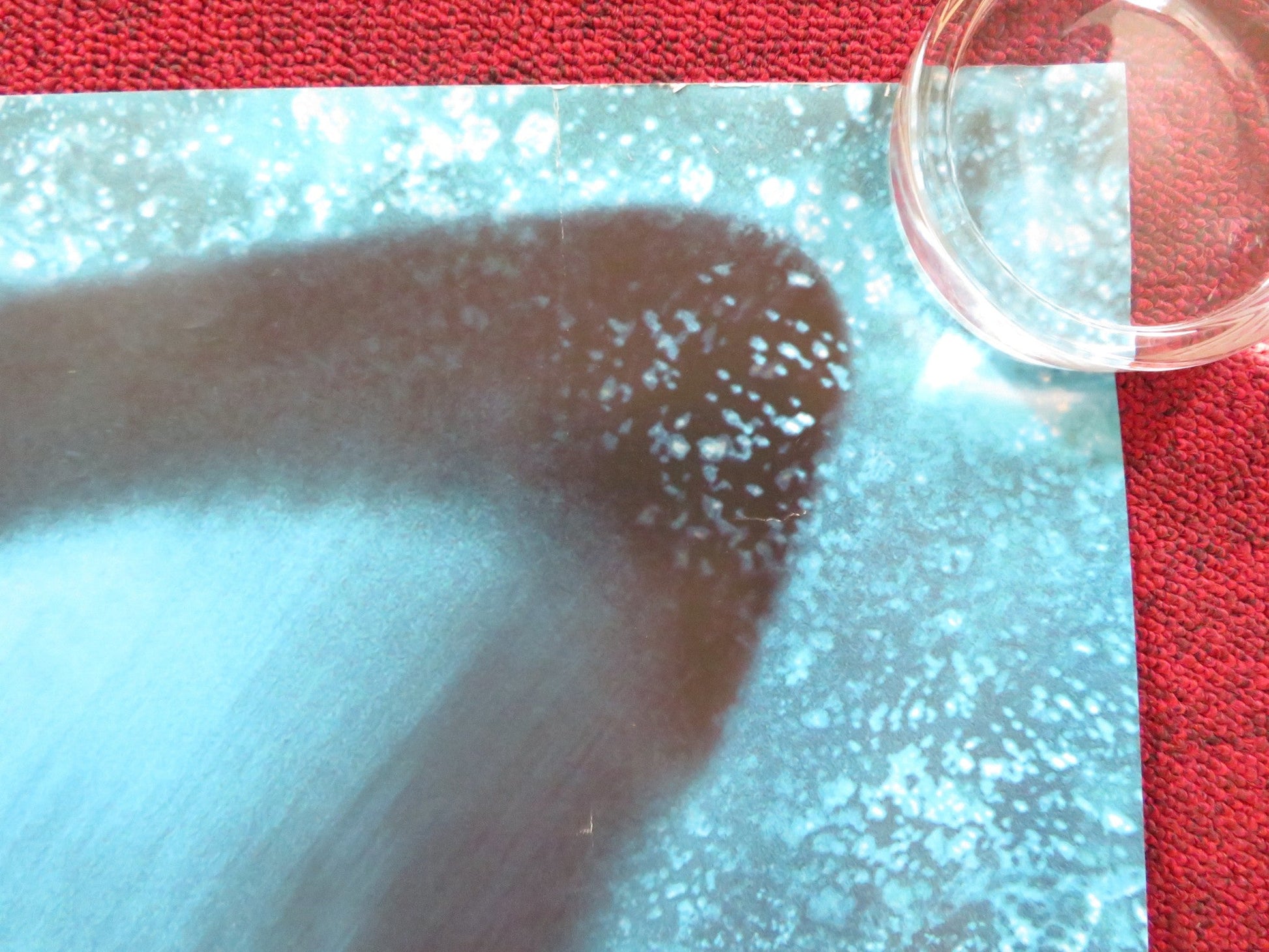 DEEP BLUE SEA UK QUAD (30"x 40") ROLLED POSTER SAMUEL L. JACKSON LL COOL J 1999 Rendezvous Cinema Movie posters