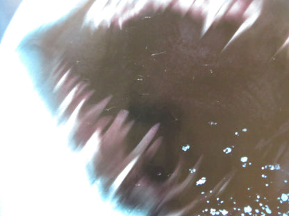 DEEP BLUE SEA UK QUAD (30"x 40") ROLLED POSTER SAMUEL L. JACKSON LL COOL J 1999 Rendezvous Cinema Movie posters