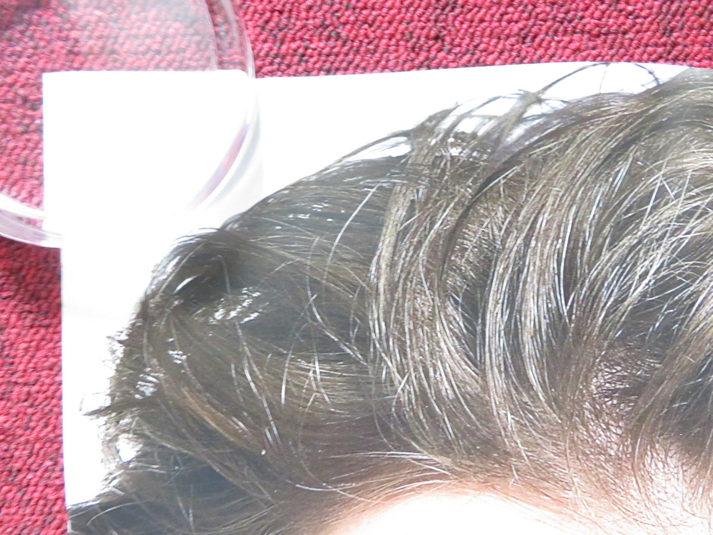 DEFINITELY, MAYBE UK QUAD ROLLED POSTER RYAN REYNOLDS ELIZABETH BANKS 2008 Rendezvous Cinema Movie posters