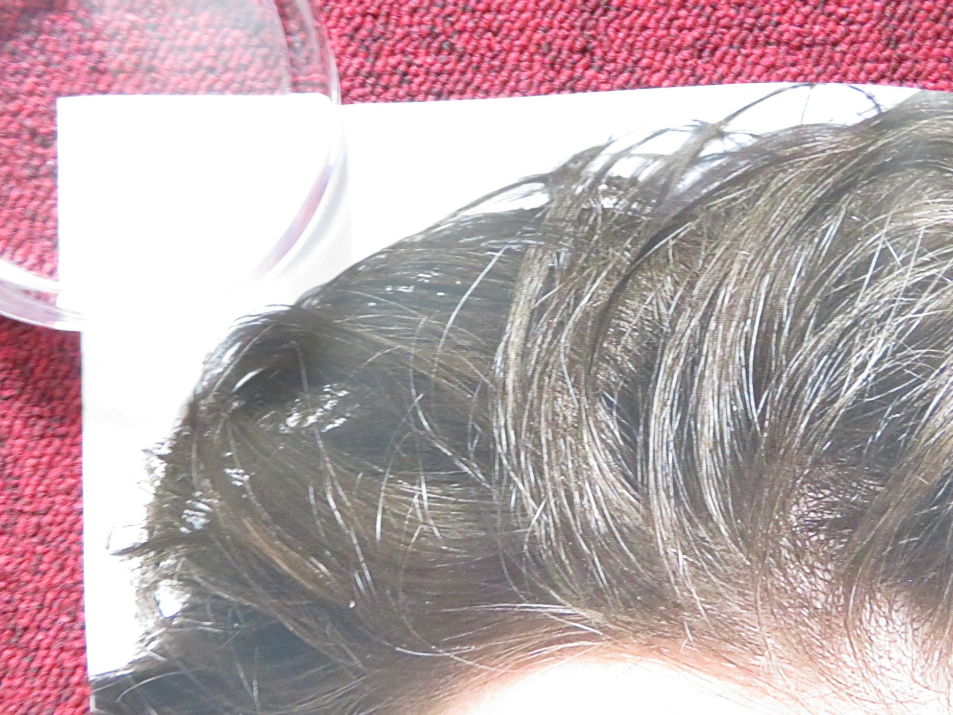 DEFINITELY, MAYBE UK QUAD ROLLED POSTER RYAN REYNOLDS ELIZABETH BANKS 2008 Rendezvous Cinema Movie posters