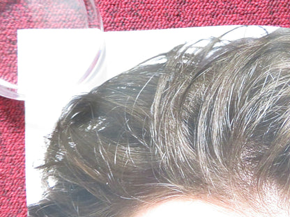 DEFINITELY, MAYBE UK QUAD ROLLED POSTER RYAN REYNOLDS ELIZABETH BANKS 2008 Rendezvous Cinema Movie posters