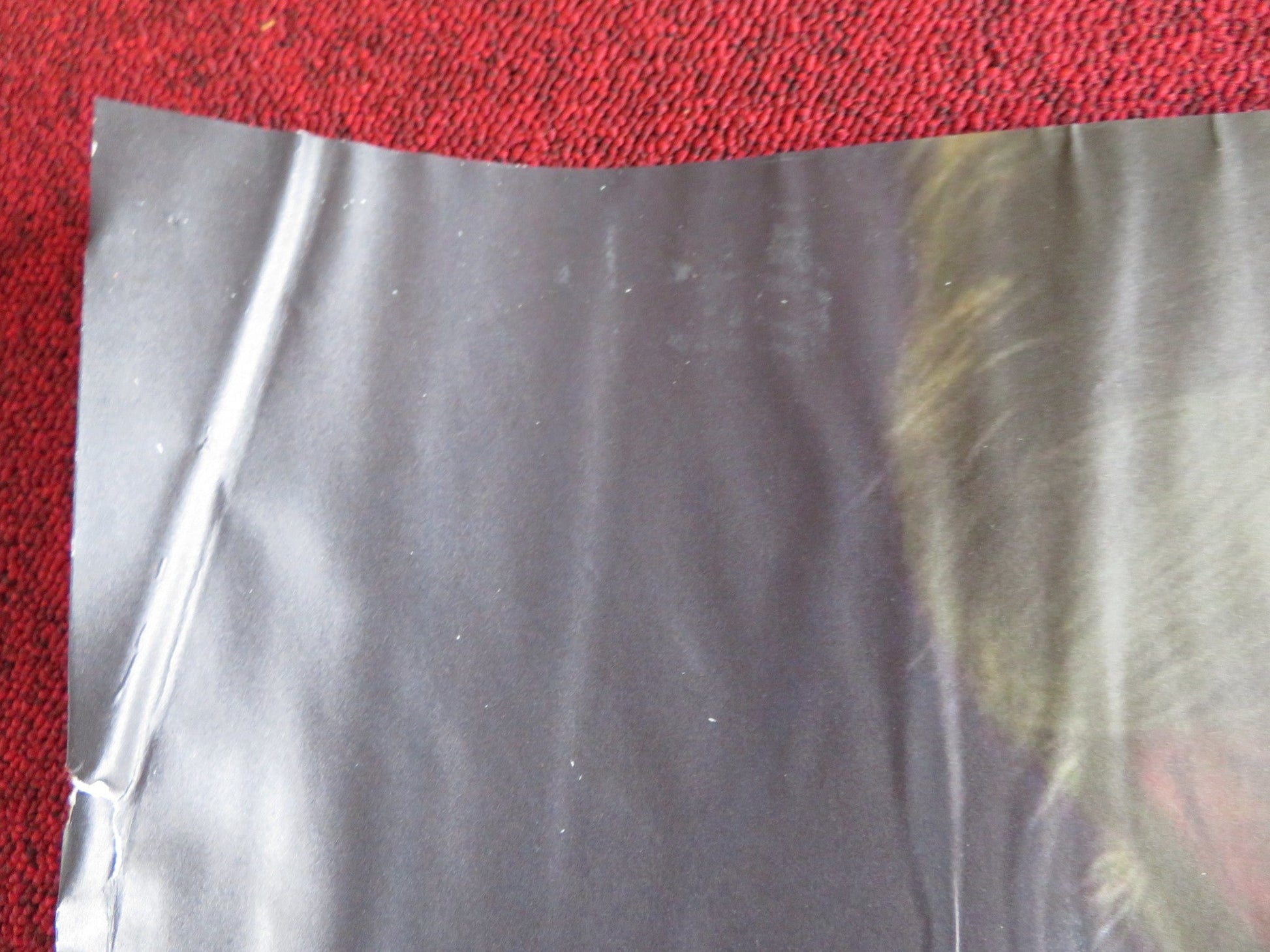 DELIRIUM UK QUAD (30"x 40") ROLLED POSTER CLARE GROGAN TIMOTHY WEST 2017 Rendezvous Cinema Movie posters