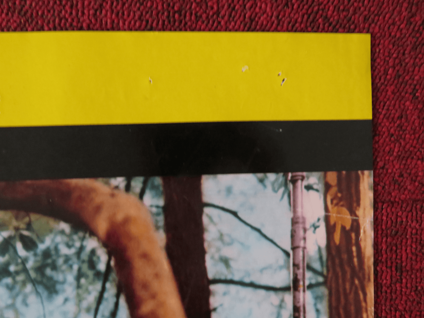 DELIVERANCE - B ITALIAN FOTOBUSTA POSTER JON VOIGHT BURT REYNOLDS 1972 Rendezvous Cinema Movie posters