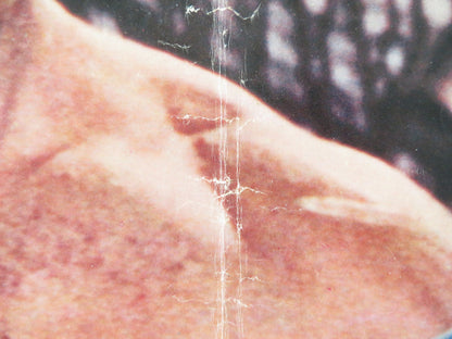 DEMETRIUS AND THE GLADIATORS - F ITALIAN FOTOBUSTA POSTER E. BORGNINE R1980s Rendezvous Cinema Movie posters