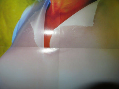 DEMONESS/ The Crier folded US ONE SHEET (34"X 22") POSTER M.ERIN - EASLEY 2002 Movie posters