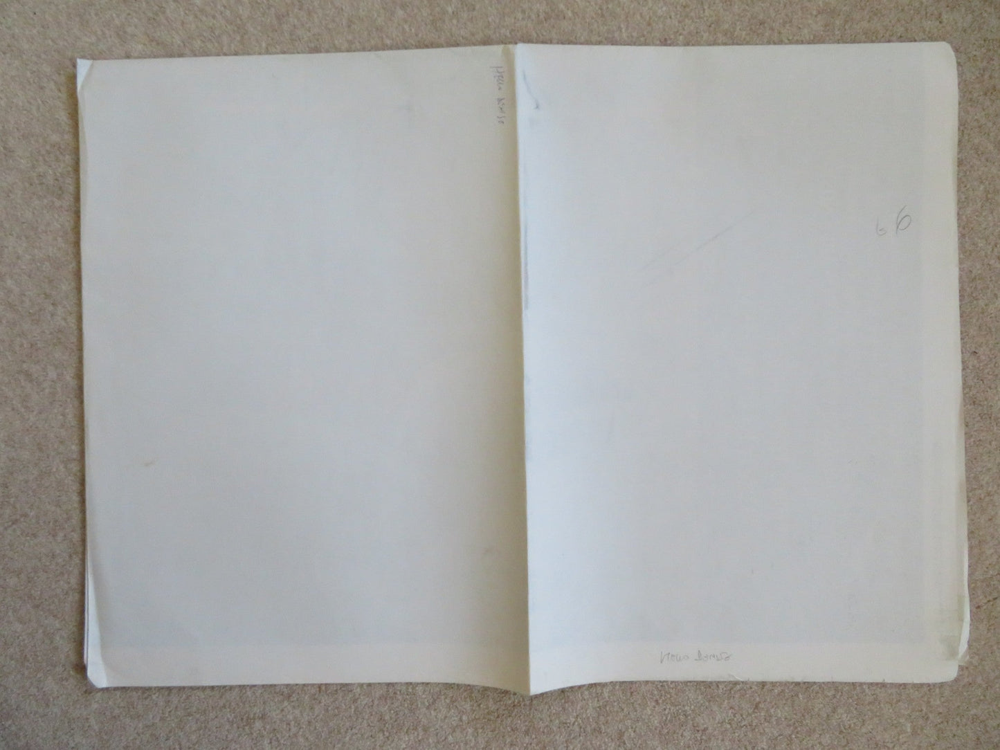 DENISE CALLS UP ITALIAN 2 FOGLIO POSTER TIM DALY CAROLEEN FEENEY 1995 Rendezvous Cinema Movie posters