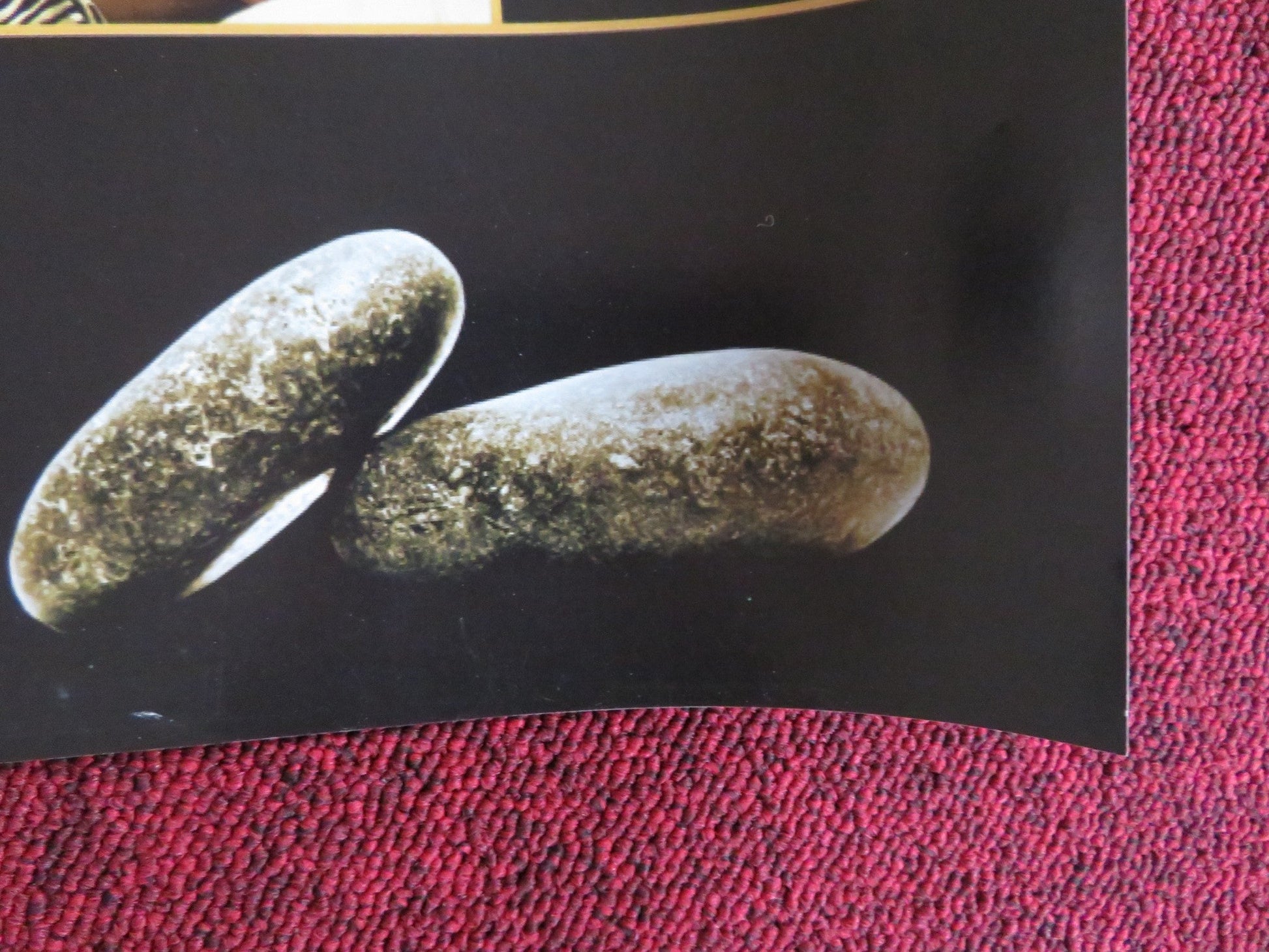 DEPARTURES UK QUAD (30"x 40") ROLLED POSTER MASAHIRO MOTOKI T. YAMAZAKI 2008 Rendezvous Cinema Movie posters