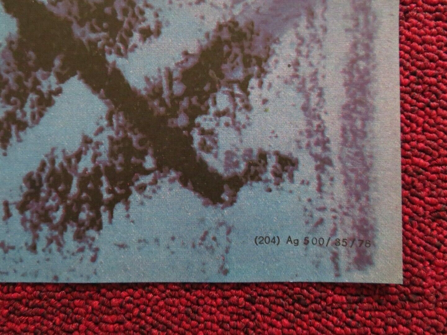 DER BRUNETTE ERSCHEINT AM ABEND GERMAN A1 (33"x 23") POSTER KOWALEWSKI 1978 - Rendezvous Cinema