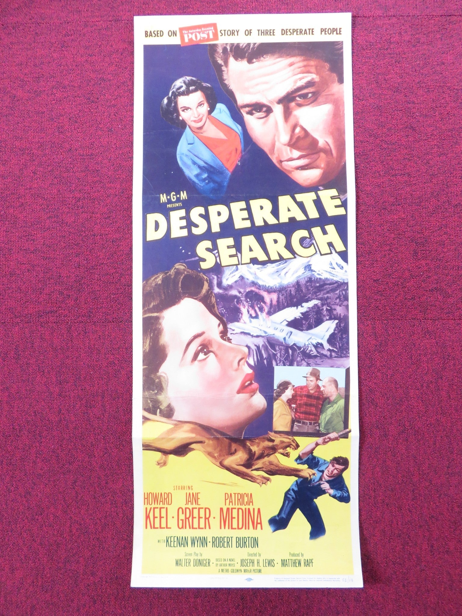 DESPERATE SEARCH US INSERT (14"x 36") POSTER HOWARD KEEL JANE GREER 1953 Rendezvous Cinema Movie posters