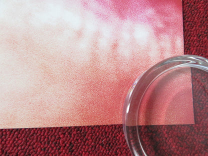 DESTROYER US ONE SHEET ROLLED POSTER NICOLE KIDMAN 2018 Rendezvous Cinema Movie posters