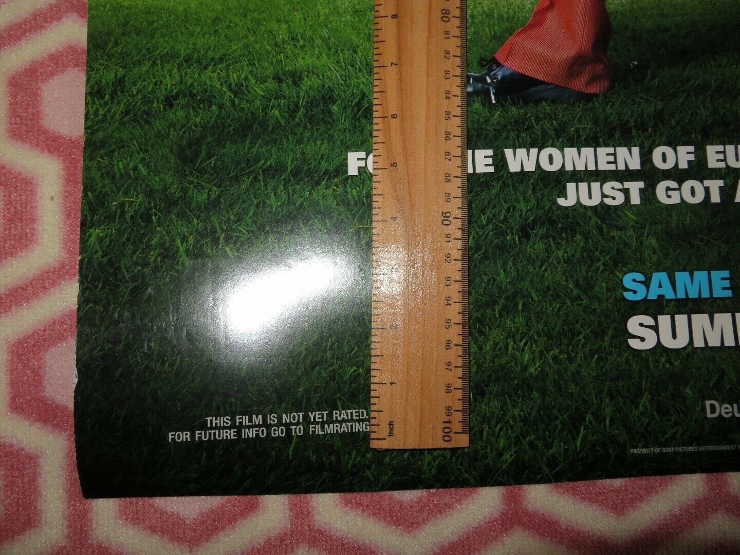 DEUCE BIGALOW 2 US ONE SHEET ROLLED POSTER ROB SCHNEIDER EDDIE GRIFFIN 2005 Movie posters