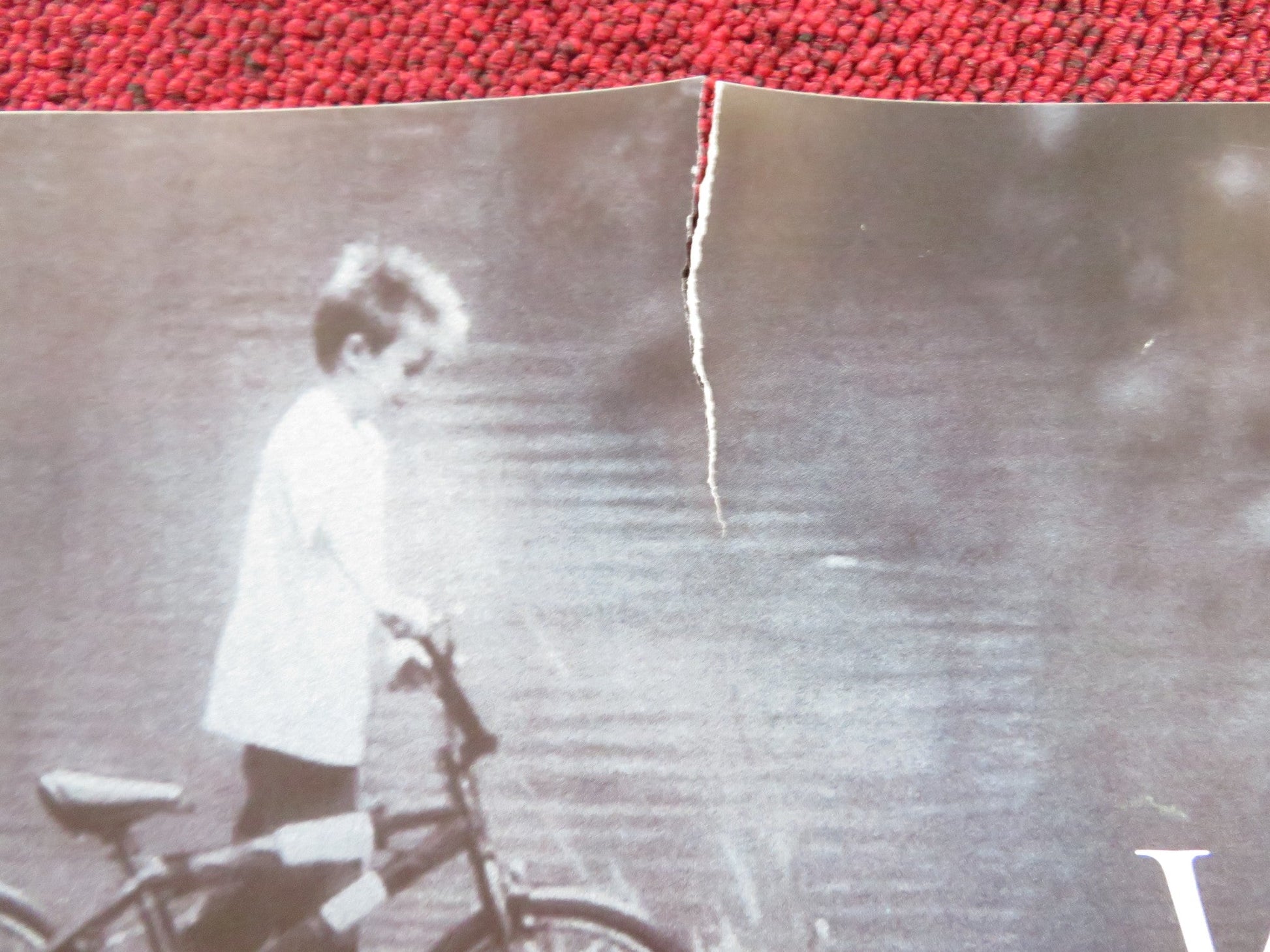 DEVIL'S KNOT UK QUAD (30"x 40") ROLLED POSTER WEST MEMPHIS 3 COLIN FIRTH 2013 Rendezvous Cinema Movie posters