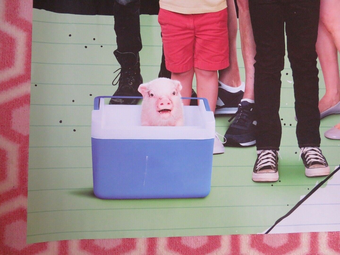 DIARY OF A WIMPY KID THE LONG HAUL QUAD (30"x 40") ROLLED POSTER JEFF KINNEY Movie posters