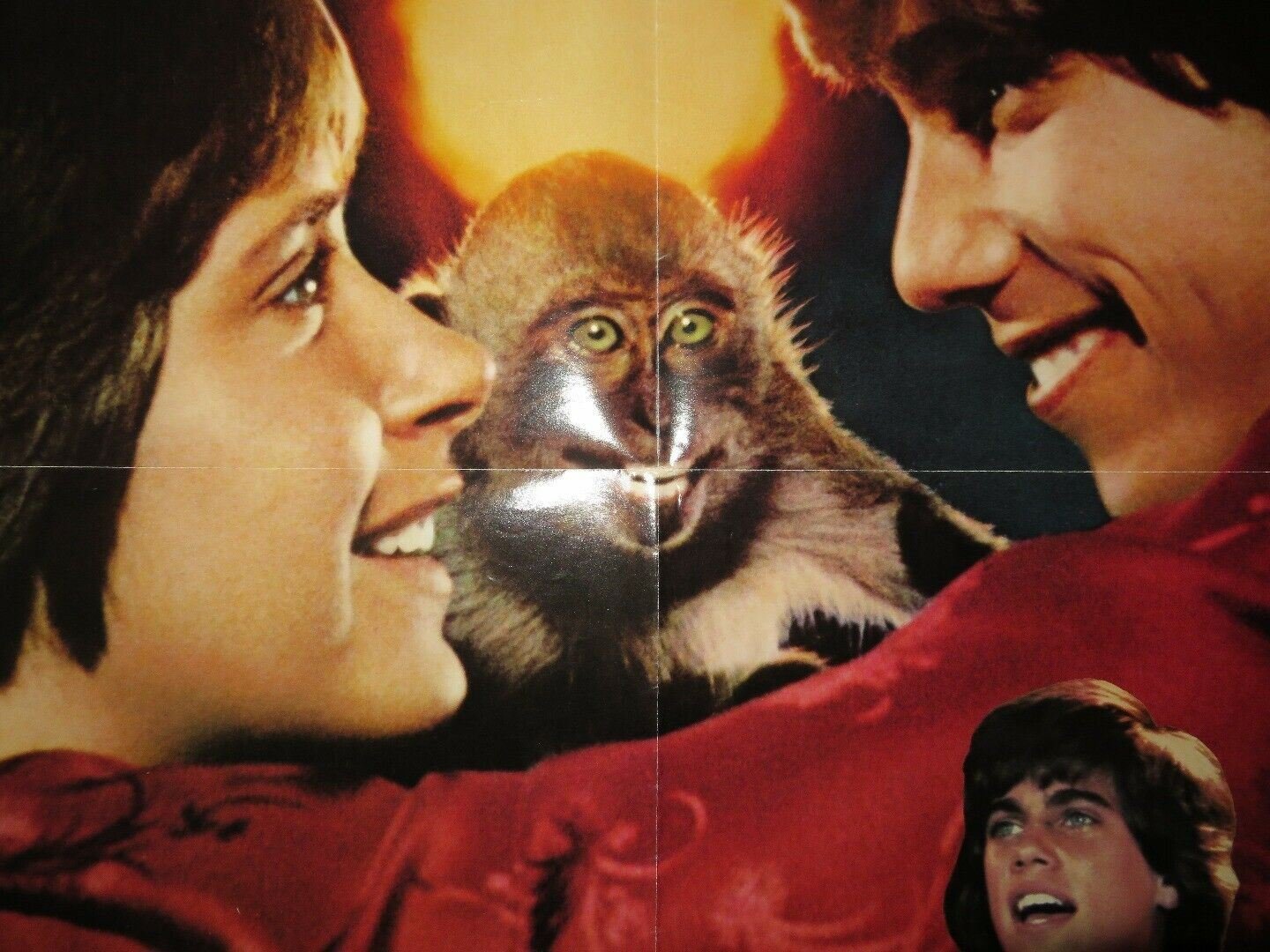 DIE LAUGHING US ONE SHEET POSTER ROBBY BENSON LINDA GROVENOR 1980 Movie posters