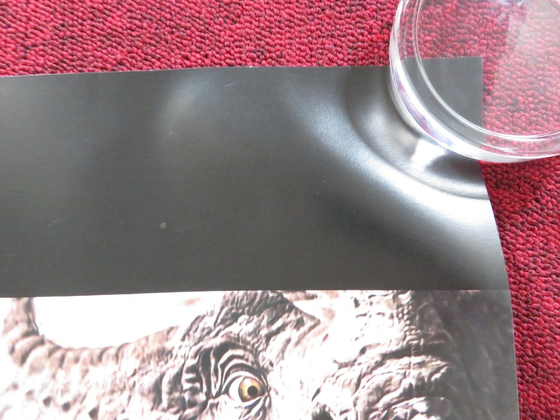 DINOSAUR UK QUAD (30"x 40") ROLLED POSTER DISNEY ALFRE WOODARD OSSIE DAVIS 2000 Rendezvous Cinema Movie posters