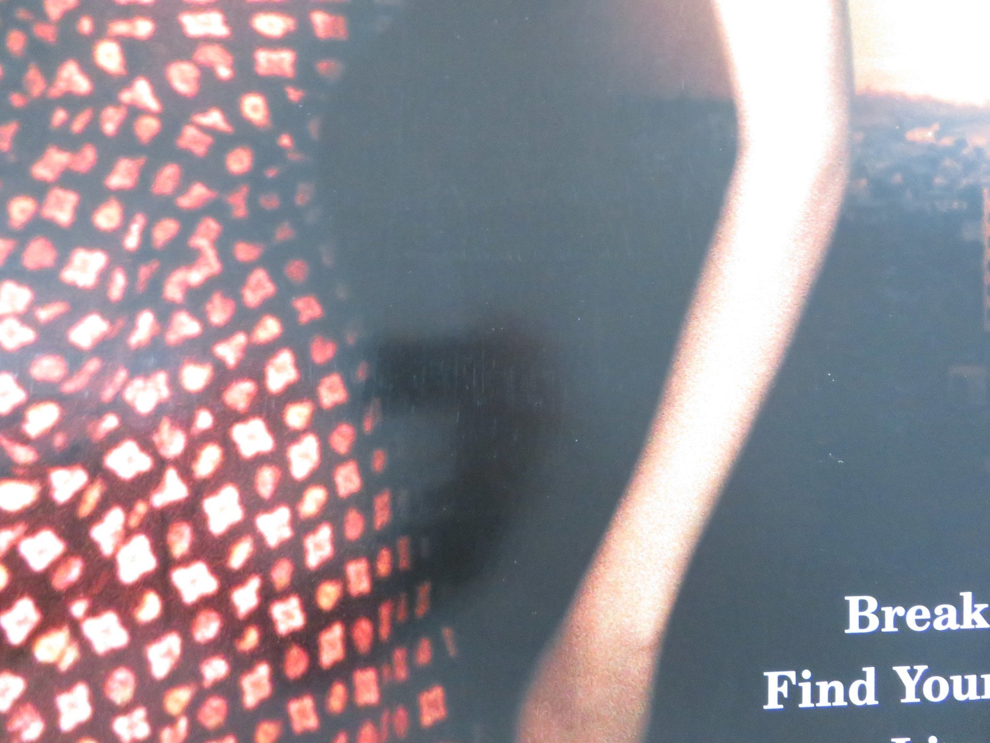 DIRTY DANCING HAVANA NIGHTS US ONE SHEET ROLLED POSTER DIEGO LUNA GARAI 2004 Rendezvous Cinema Movie posters