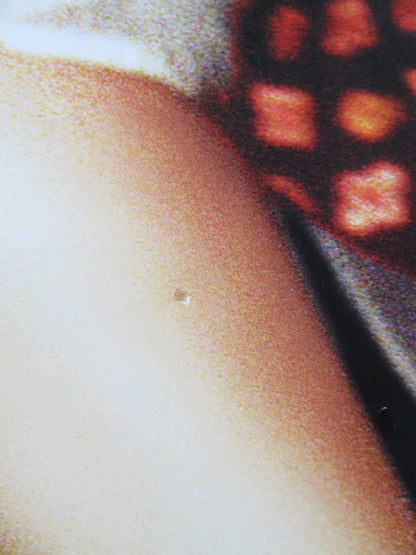 DIRTY DANCING HAVANA NIGHTS US ONE SHEET ROLLED POSTER DIEGO LUNA GARAI 2004 Rendezvous Cinema Movie posters