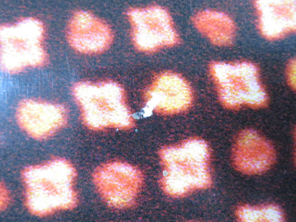 DIRTY DANCING HAVANA NIGHTS US ONE SHEET ROLLED POSTER DIEGO LUNA GARAI 2004 Rendezvous Cinema Movie posters