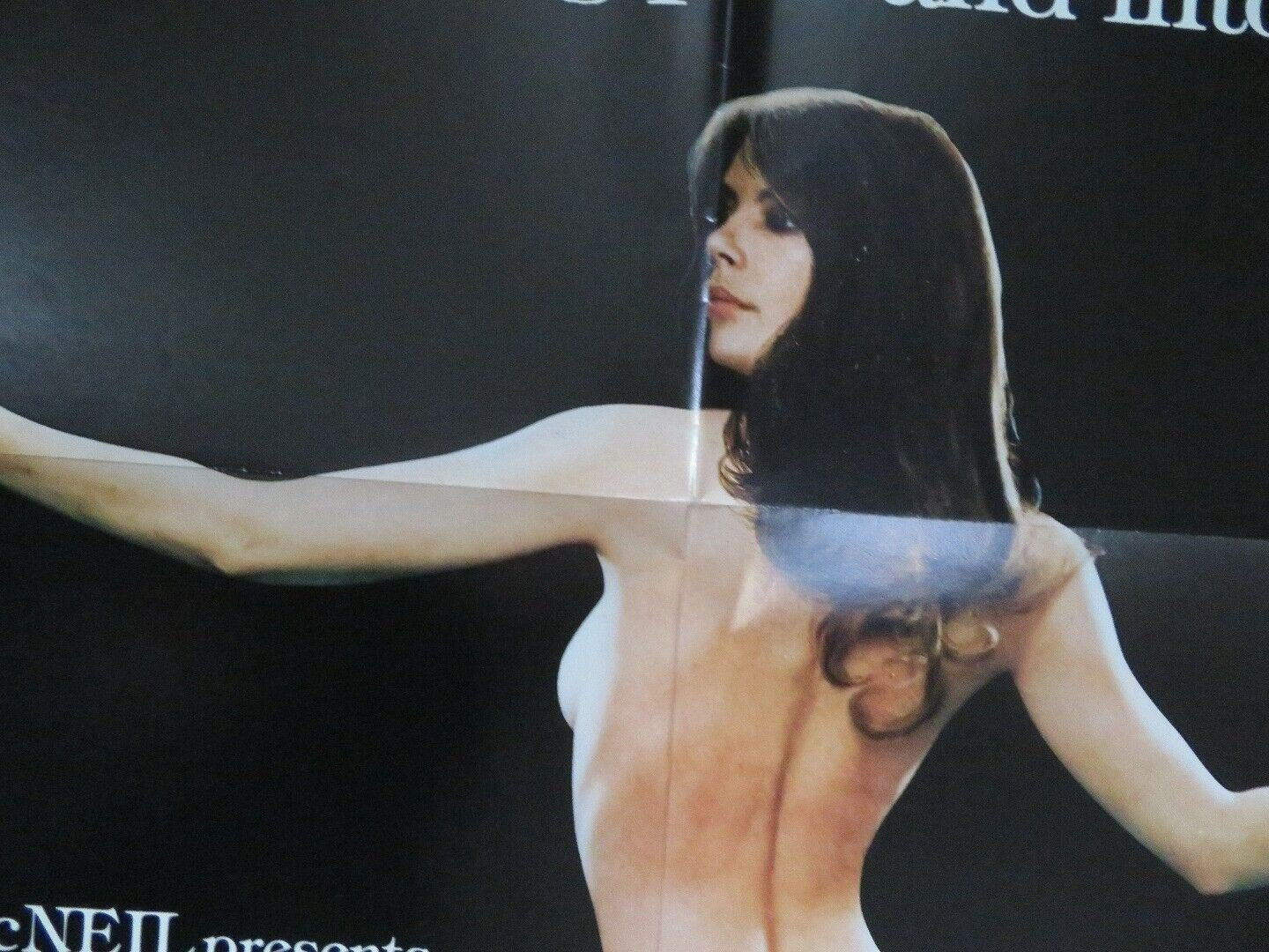 DIRTY DISHES US ONE SHEET POSTER CAROLE LAURIE PIERRE SANTINI 1978 Movie posters