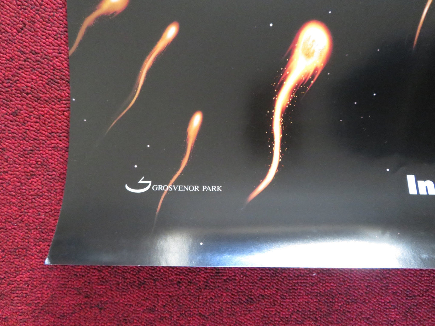 DISASTER MOVIE US ONE SHEET ROLLED POSTER MATT LANTER NICOLE PARKER 2008 Rendezvous Cinema Movie posters