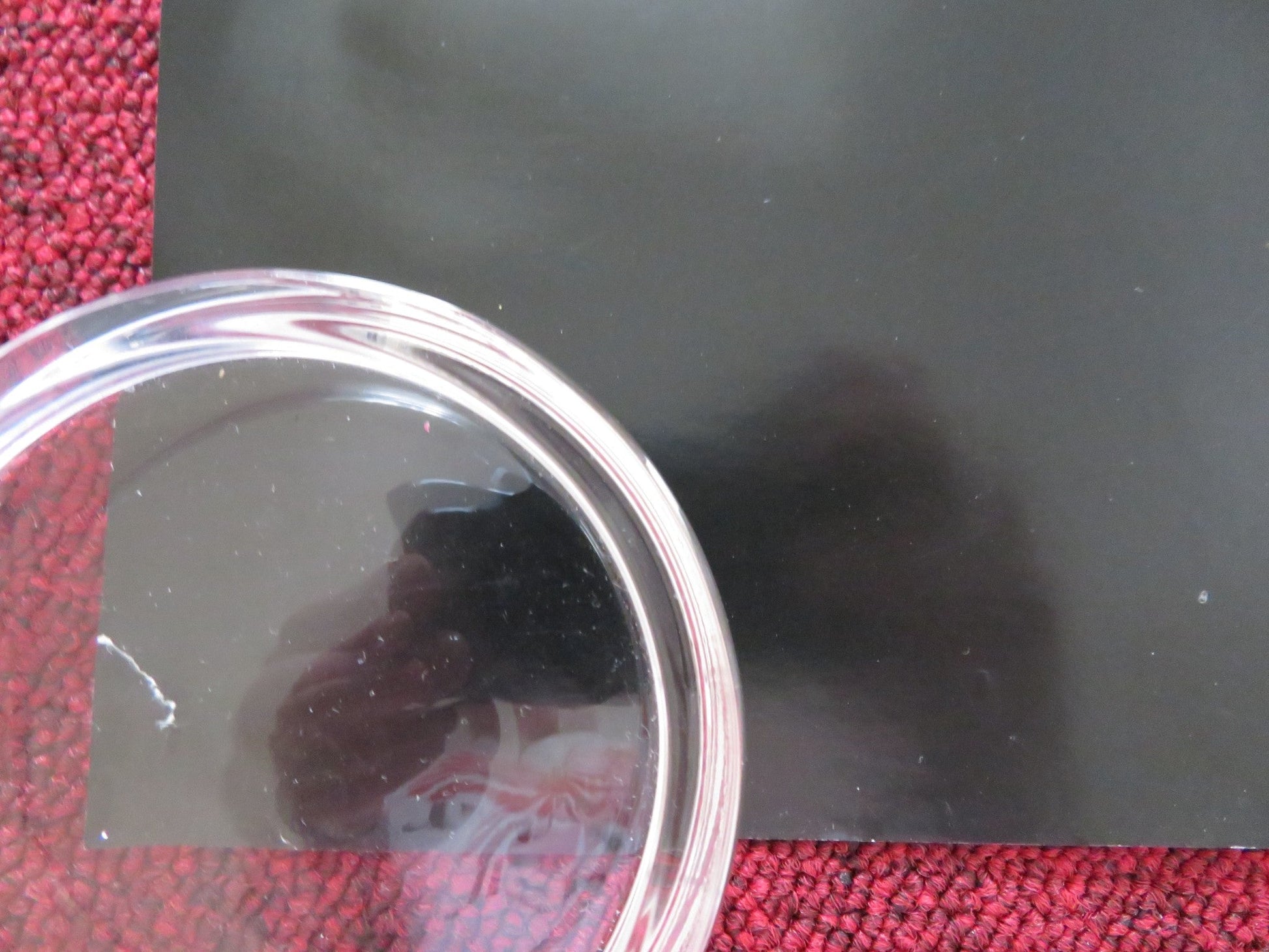 DISTURBIA - b UK QUAD ROLLED POSTER SHIA LABEOUF SARAH ROEMER 2007 Rendezvous Cinema Movie posters