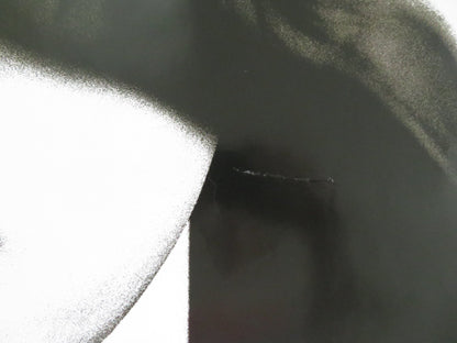 DISTURBIA - b UK QUAD ROLLED POSTER SHIA LABEOUF SARAH ROEMER 2007 Rendezvous Cinema Movie posters