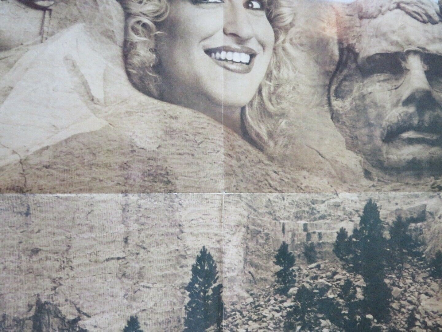 DIVINE MADNESS STYLE A FOLDED US ONE SHEET POSTER BETTE MIDLER JERRY BLATT 1980 Movie posters